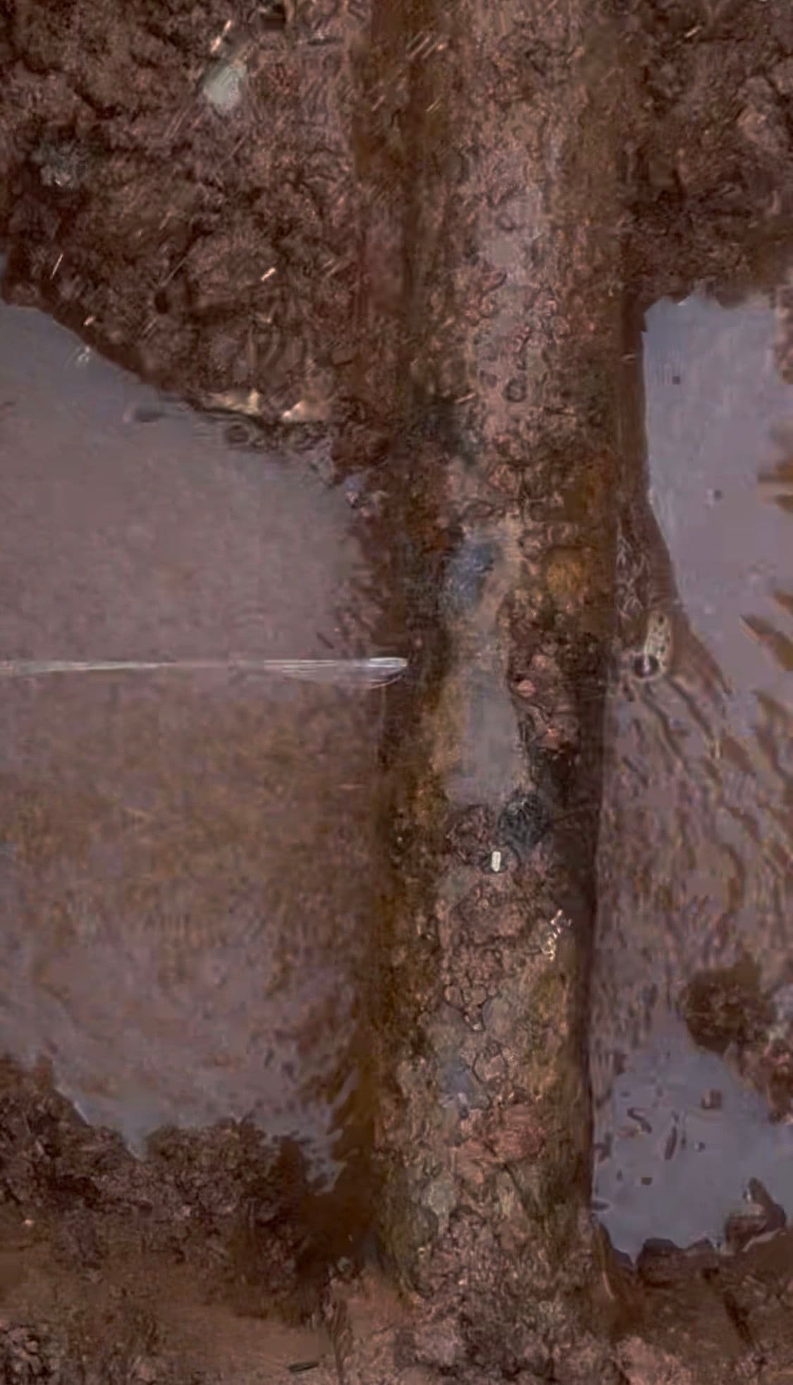 Gallery photos for Precision Underground Utility Repair: Image #4